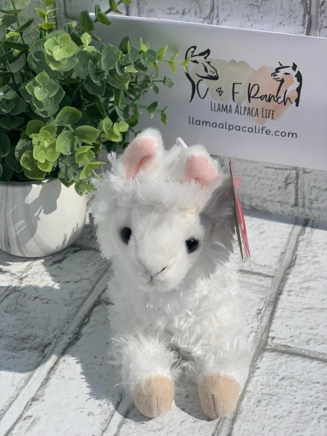 Llama and Alpaca Stuffed Animals