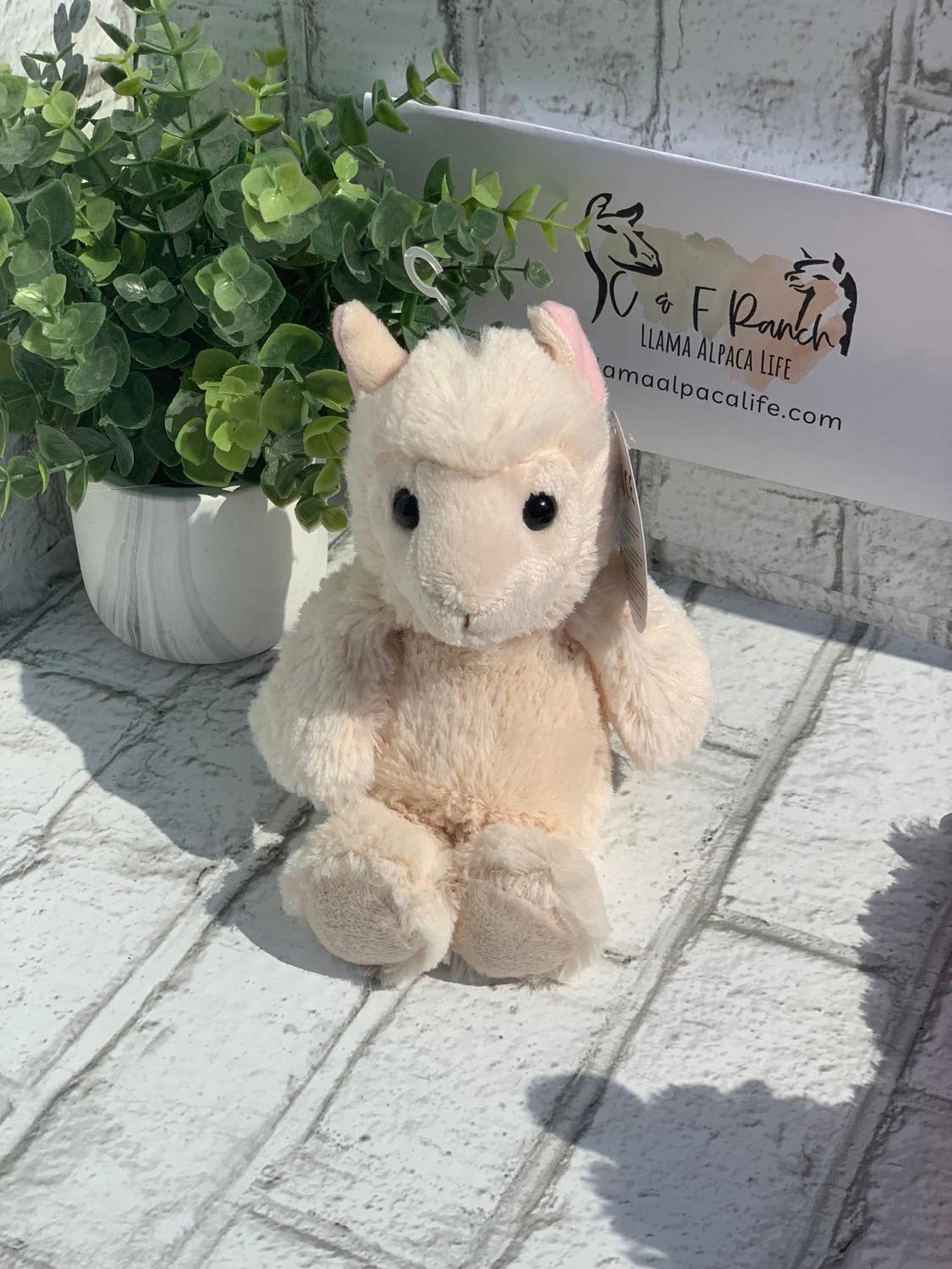 Llama and Alpaca Stuffed Animals