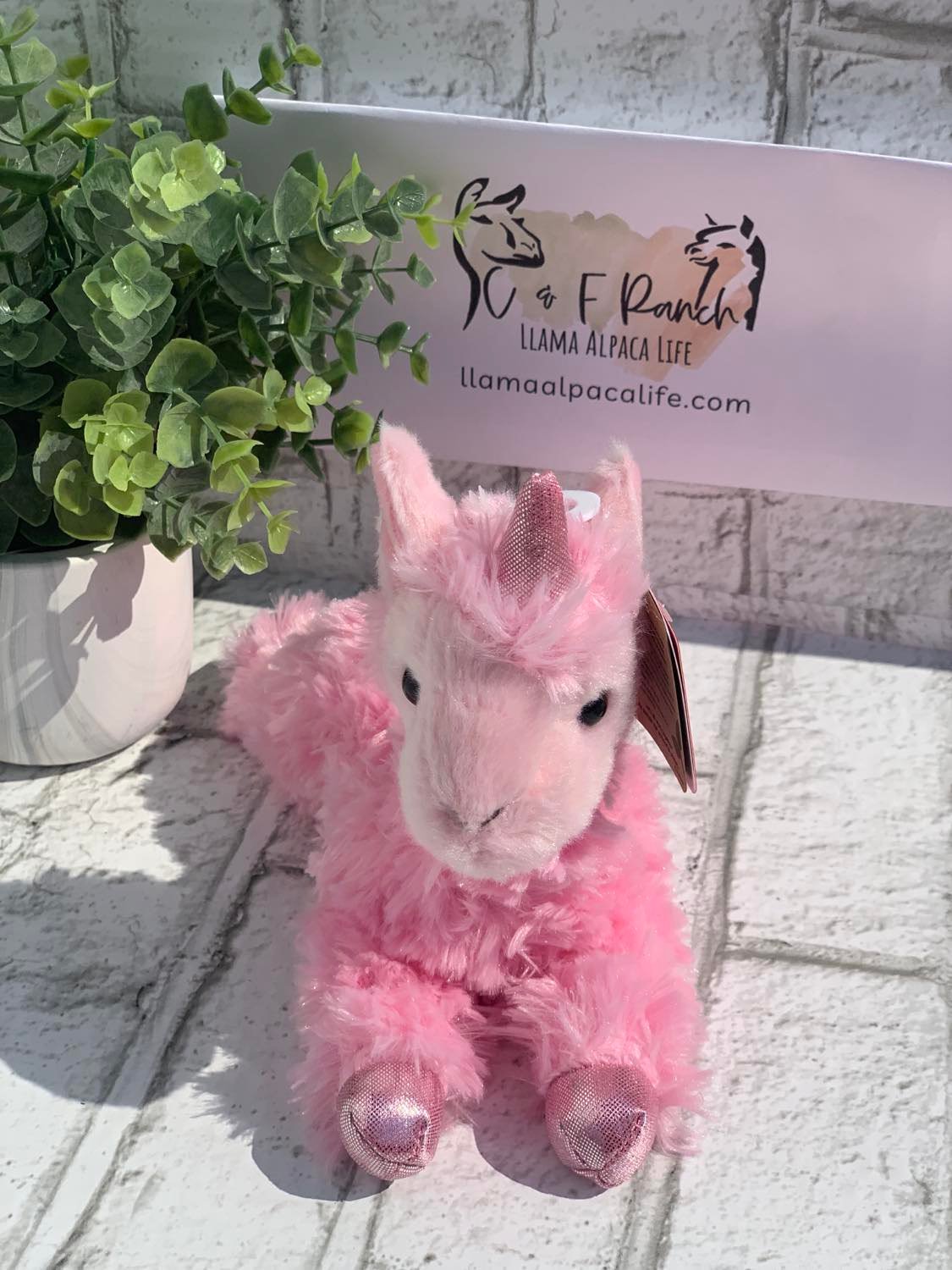 Llama and Alpaca Stuffed Animals