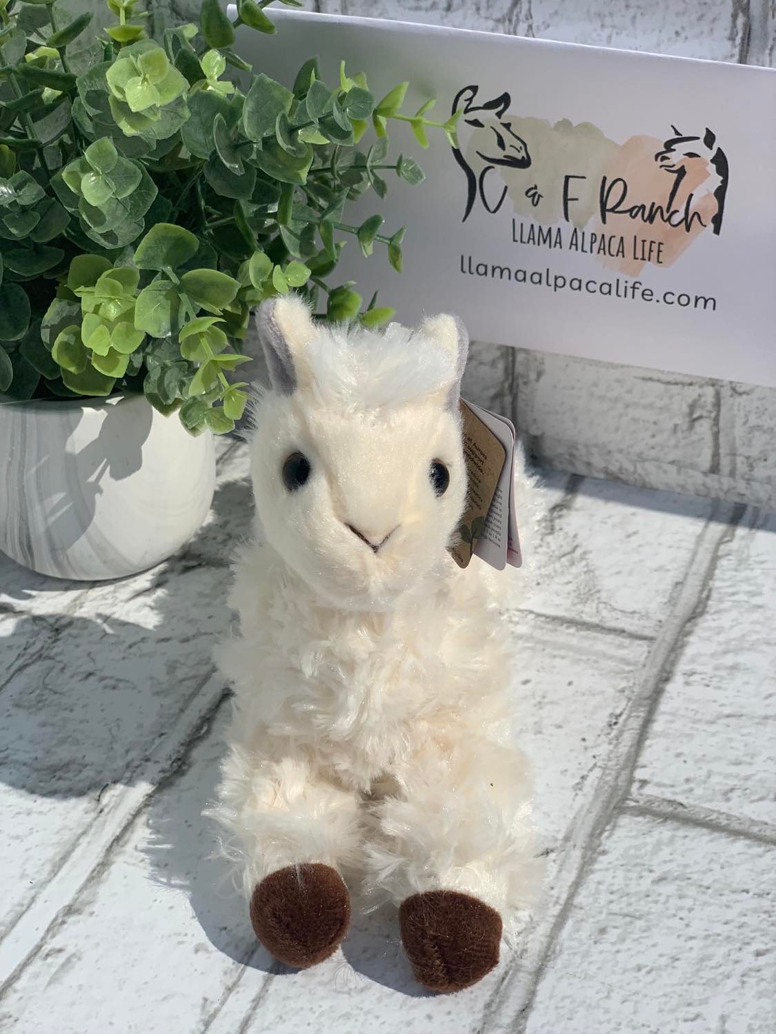 Llama and Alpaca Stuffed Animals