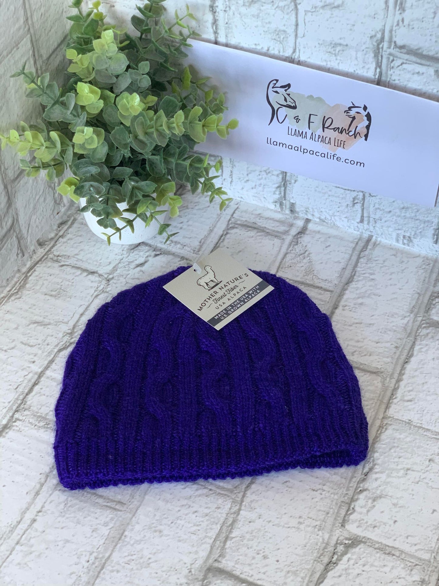 Beanie Bold Cable Alpaca Hat