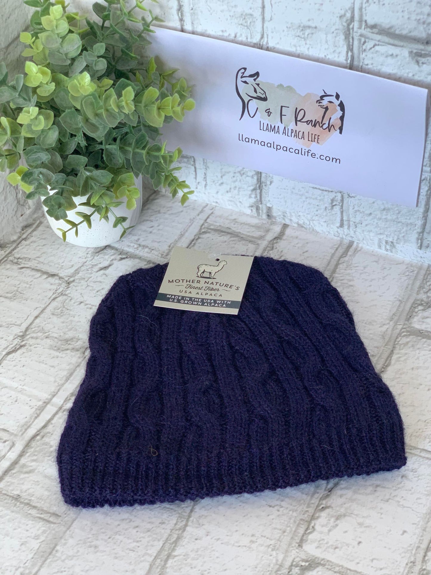 Beanie Bold Cable Alpaca Hat
