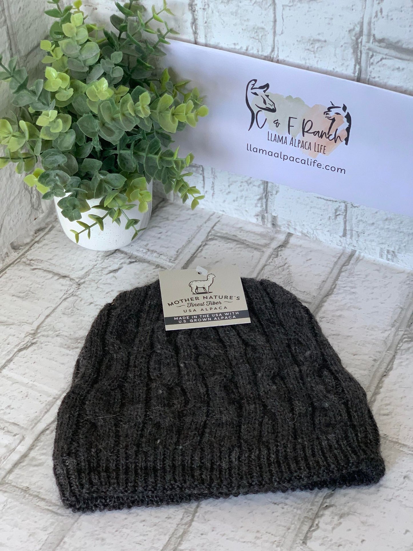 Beanie Bold Cable Alpaca Hat