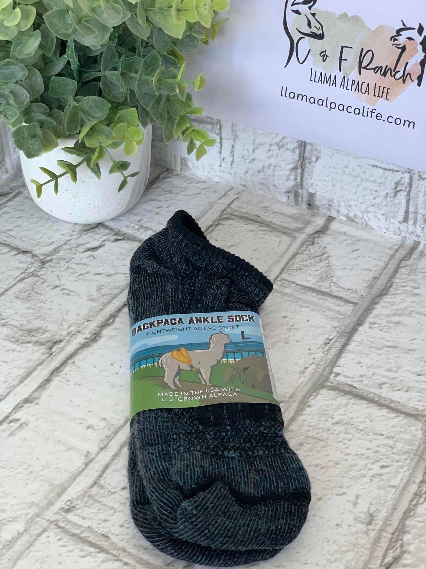 BackPaca Ankle Socks