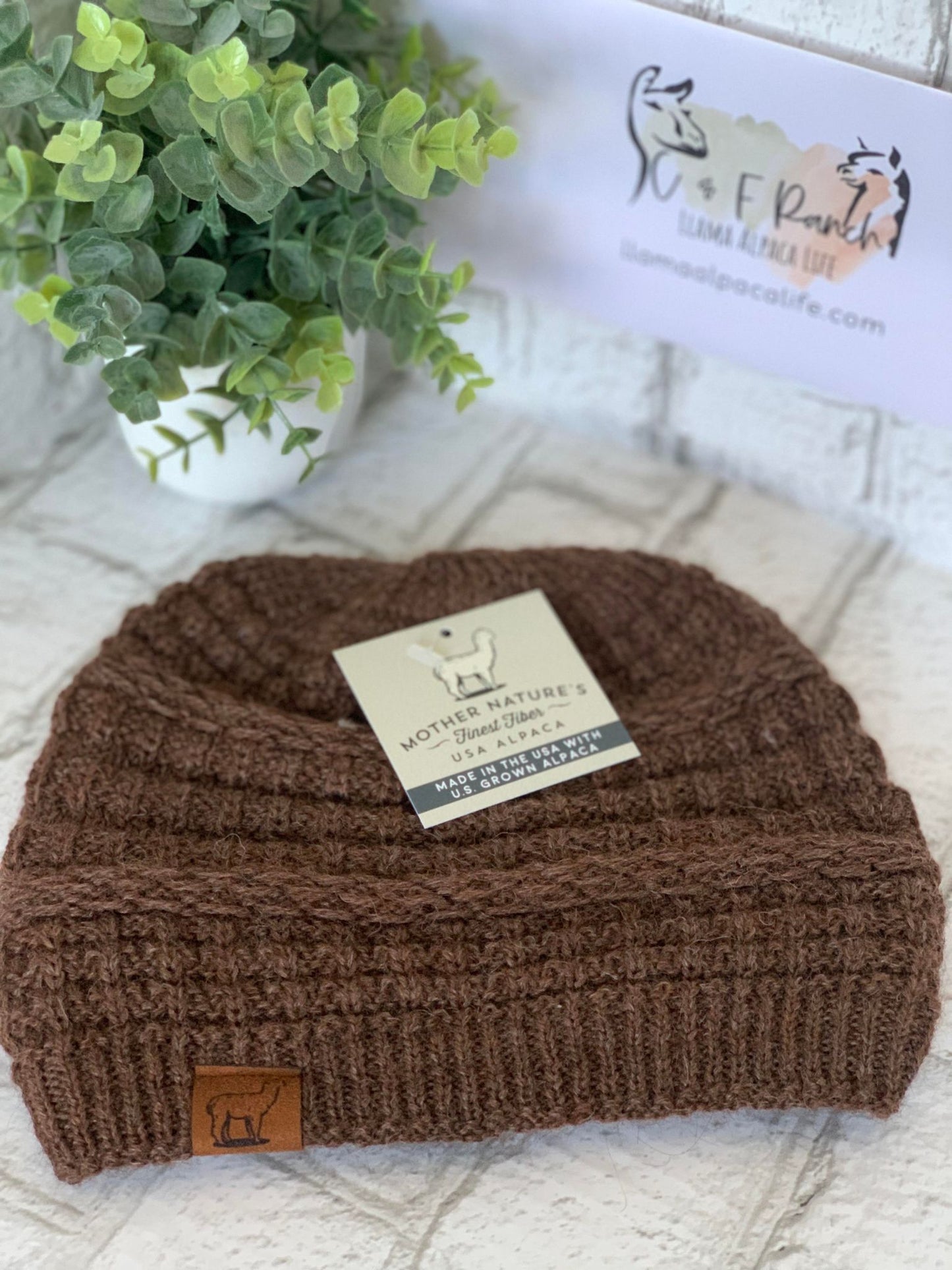 Alpaca Slouch Beanie