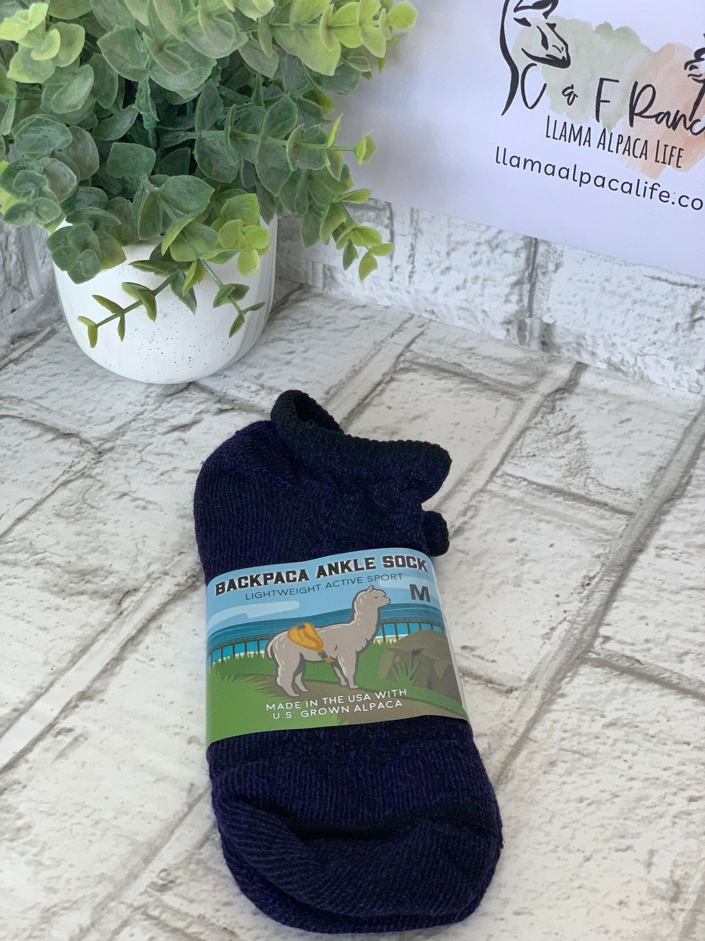 BackPaca Ankle Socks