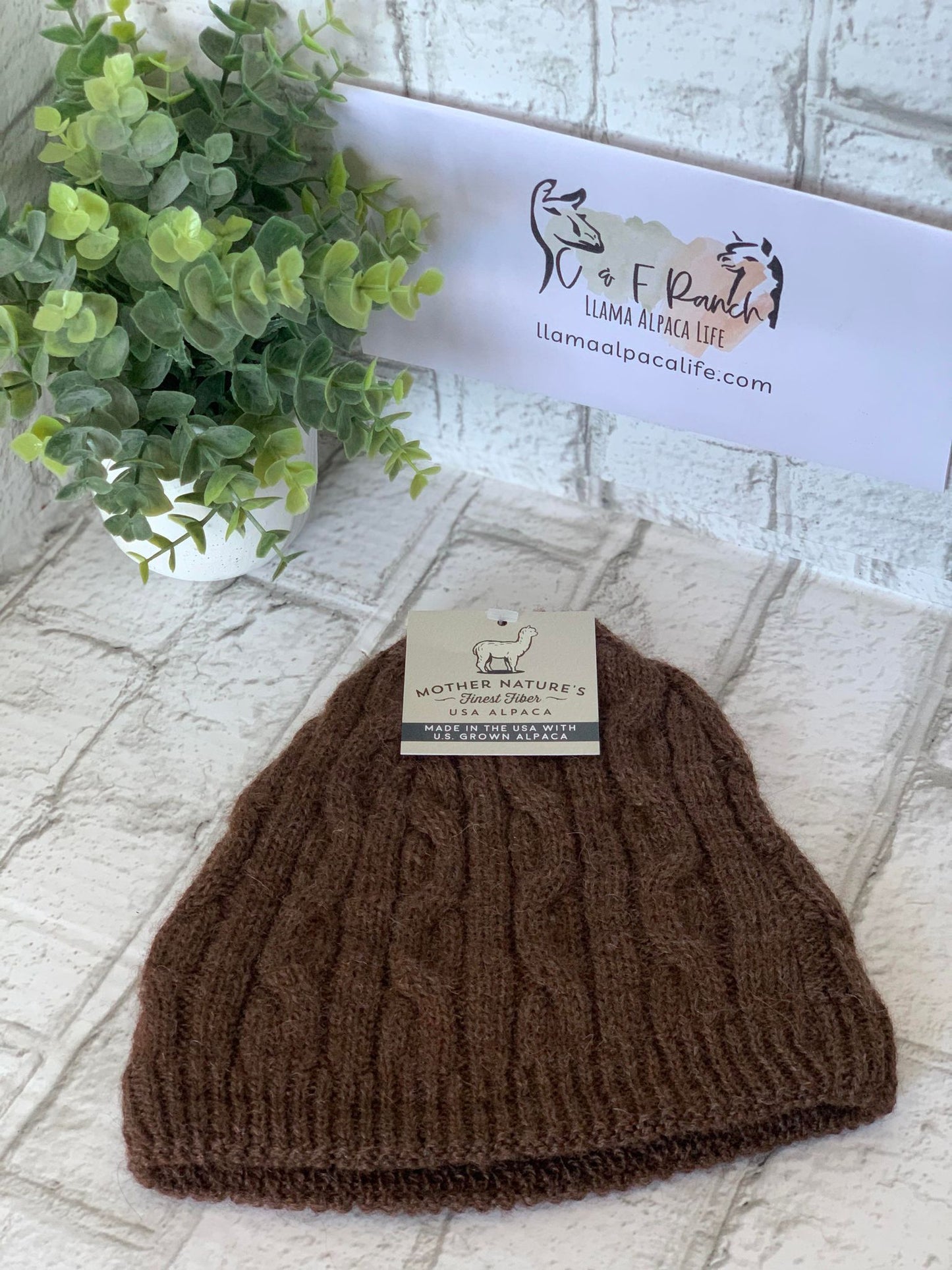 Beanie Bold Cable Alpaca Hat
