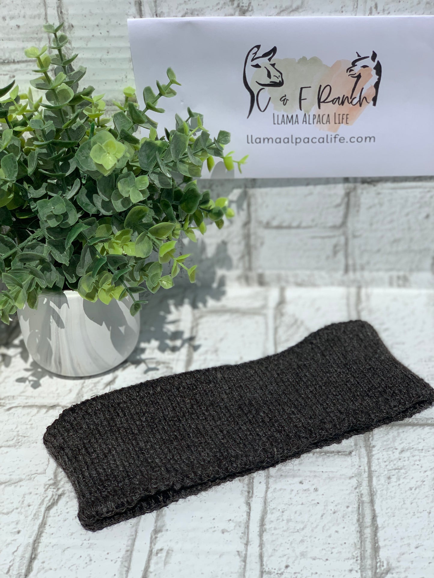 Alpaca Headbands