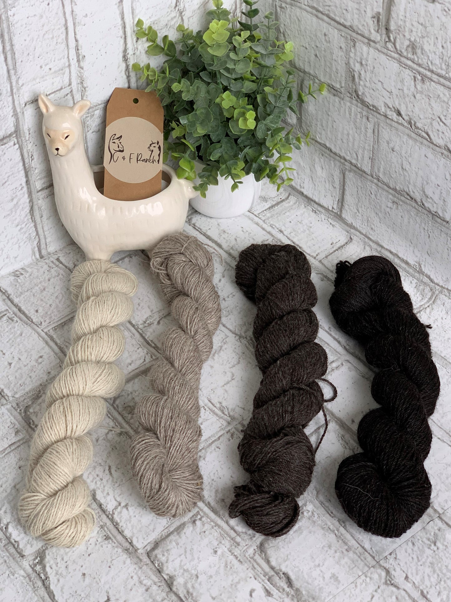 200YD 3-Ply 100% Llama Skeins