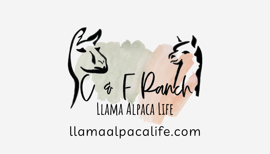 Llama Alpaca Life Gift Card