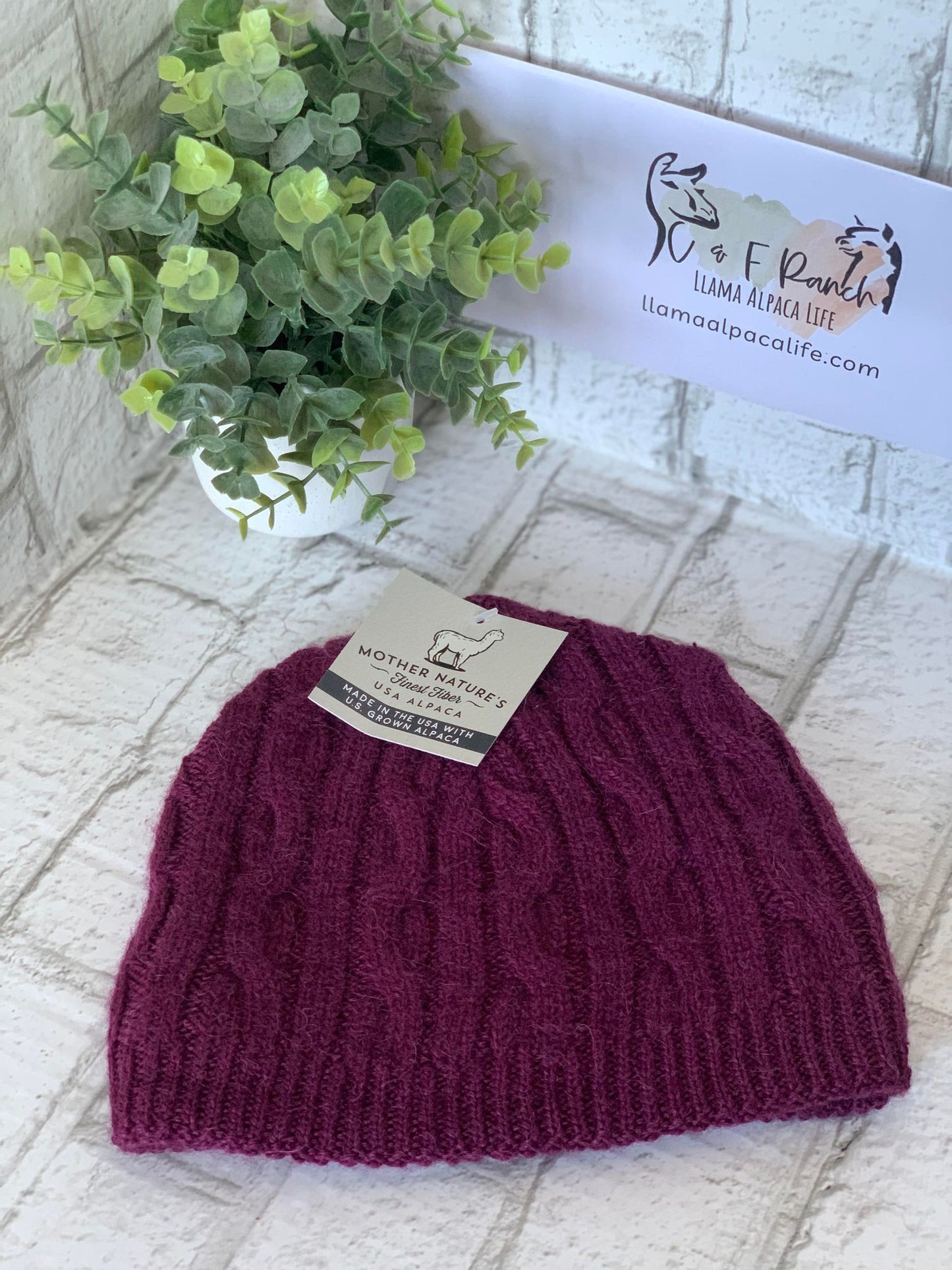 Beanie Bold Cable Alpaca Hat