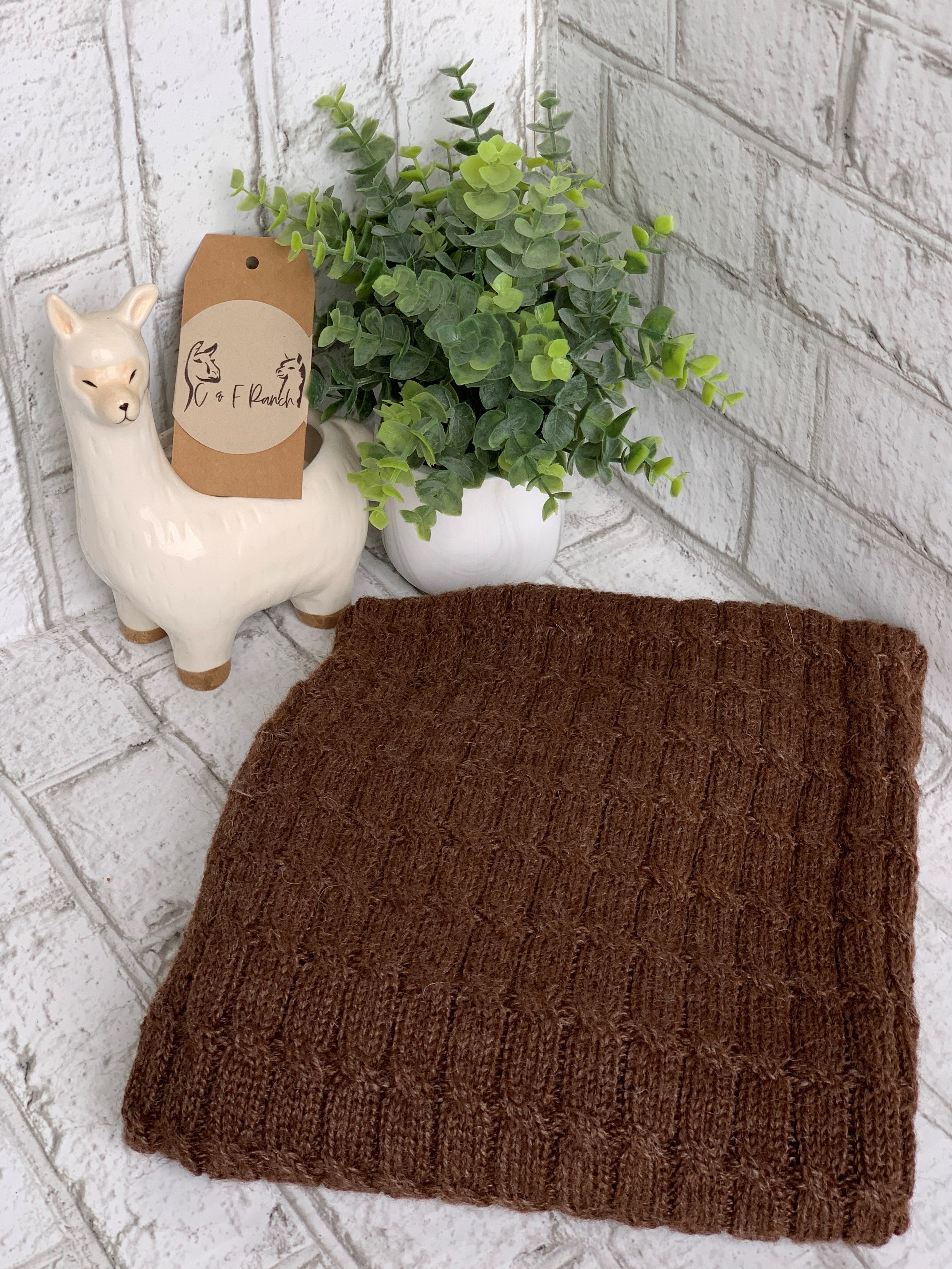 Cozy Alpaca Baby Blanket Llama Alpaca Life